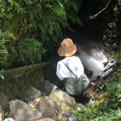 haruna23237597's profile picture. 