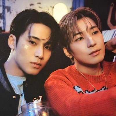 for mingyu & wonwoo 🐶🐱 ! 원프 • 밍프 | 민규 원우 사랑해! 🫠🫠🥹🥹 베이비들 babydeul 🫠