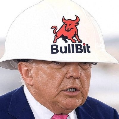 BullbitdotCom's profile picture. Bullish on Crypto & Domains: BullBit .com | BitTamp .com | BitTake .com | Bit-DEX .com | USDC .network