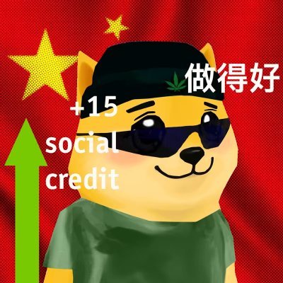 tjackinho Profile