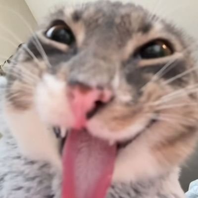 zaikey 😶‍🌫️さんのプロフィール画像