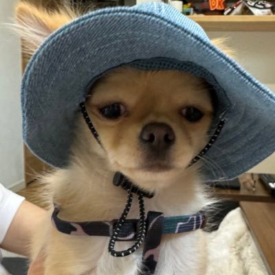 ___poteti's profile picture. とてつもなく陰キャ