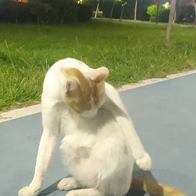 Osurukadam1688's profile picture. 