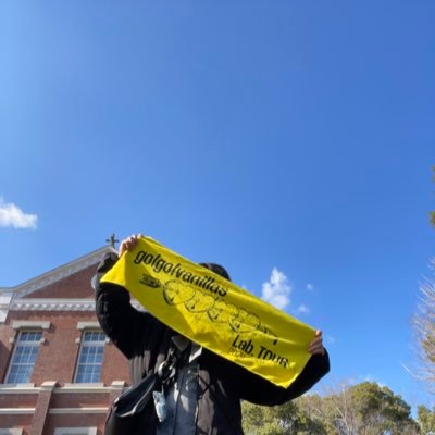 8hOQ9FelDj47135's profile picture. 