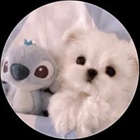 あずき (@7lxcie_) Twitter profile photo