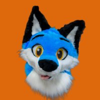 Clue (@cluethefox) 's Twitter Profile
