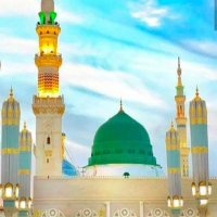 Tariq Hussain (@tariq_hussain20) 's Twitter Profile