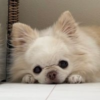 SK🍭 (@sk_mm91) Twitter profile photo
