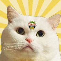 ਡ かㄘを||||| on X: 