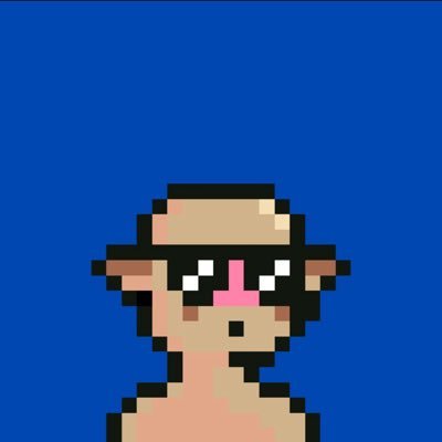 Staz361's profile picture. Web3 | Degen | $staz | $ape