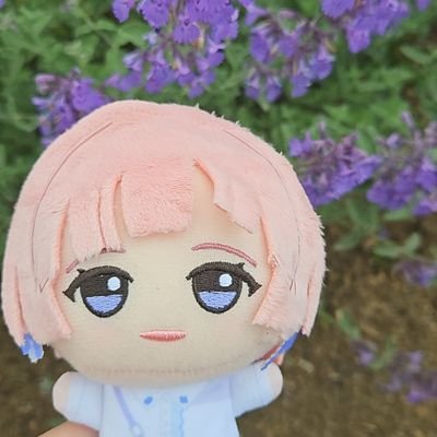 あぽてぬすさんのプロフィール画像