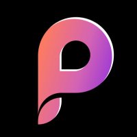 PIXE (@pixe_erc) 's Twitter Profile