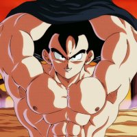 โฐโโค ๐๐ ๐ ๐พ๐ ๐๐ฆ แฏโ
(@kakarotxcore) 's Twitter Profile