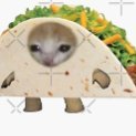 trading cs2 skins
i dont answer twitter dms just add me on steam tacocat9998 or discord tacocat0052
i dont look at twitter messages just dm my discord
TND