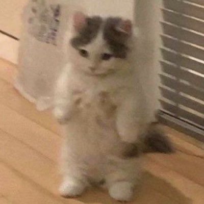 앙さんのプロフィール画像