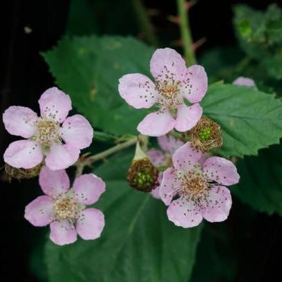 just_myselfff_'s profile picture. 