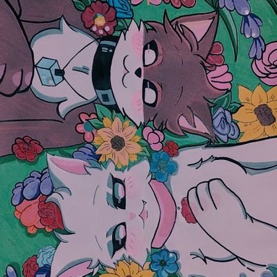 FerSnch34649018's profile picture.