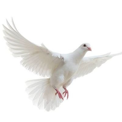 HTYT5213's profile picture. 神奈川で班長してます。
お問い合わせはこちらからお願いします→
https://t.co/keYJi4XWGW