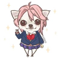 Bee。 (@chrrytao) 's Twitter Profile