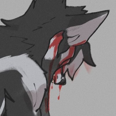 Kaiden Profile