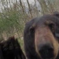 Boog (@boogssecrethut) 's Twitter Profile