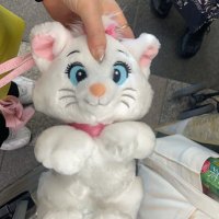 みん🍊自然癒着目頭切開DT中 (@cvue63n0xi54435) 's Twitter Profile Photo