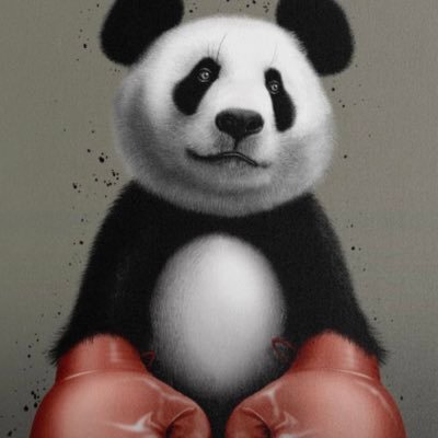 BigBoxeo's profile picture. 