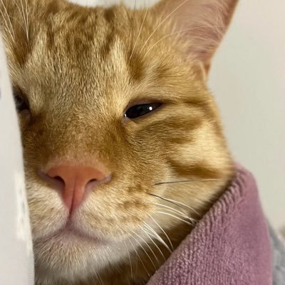 LYfanita1996's profile picture. 
