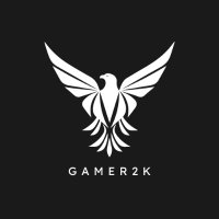 Gamer (@_gamer2k) 's Twitter Profile