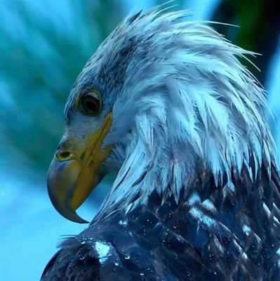 zuloner24710's profile picture. 凌晨夜班玩家