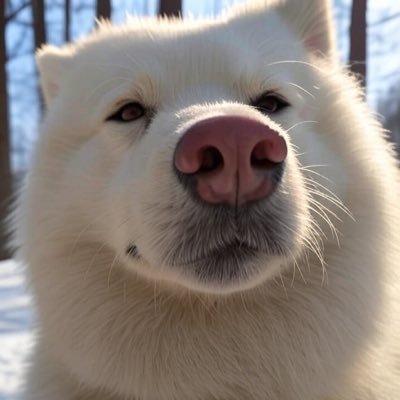 UjF10c's profile picture. 今は亡き大きな器の親に感謝 長年IBSにより人生を棒にふってるのは間違いない いつも笑ってたあの頃に戻りたい 北海道に帰りたい 自然を身近に感じたい DMきたらブロックします　悪気はございません(・ω・)ノ