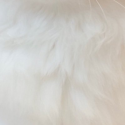 前垢、別アプリ含めお取引回数200↑
DM移行後の取引白紙は基本的NG
プロカ必読です
取引垢じゃない場合お取引終了後にブロ解させていただきます。