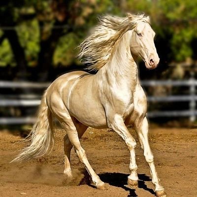 🍀 There is no life more satisfying than one lived with good character 🍀