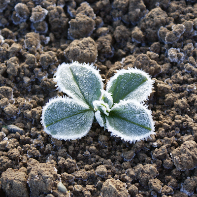 EvelineAdamAT's profile picture. 