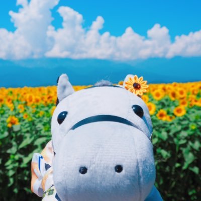 yuraさんのプロフィール画像