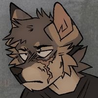 nindogy's profile picture. this is my +18 account, where i watch nsfw and other stuff 

I'm over eighteen so don't bother me