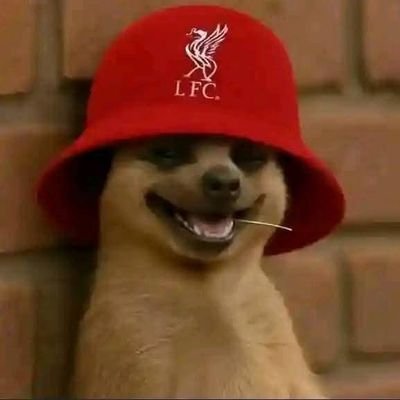Liverpool | Barca |Azam FC | AoE🤲🏾|Above Average⚖️| Life is too short to be serious😂