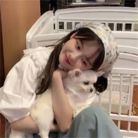TeresaGibbon (@bgn440jvbsyi3d) 's Twitter Profile