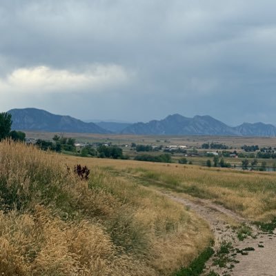 cecemari33's profile picture. //22// she/her//