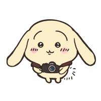 dachkusagi (@dachkusagi) 's Twitter Profile