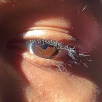 TwistedTweezer (@ttweezer) 's Twitter Profile Photo