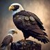 Prophet Eliezer (@prophetteliezer) Twitter profile photo Prophet Eliezer (@prophetteliezer) Twitter profile photo