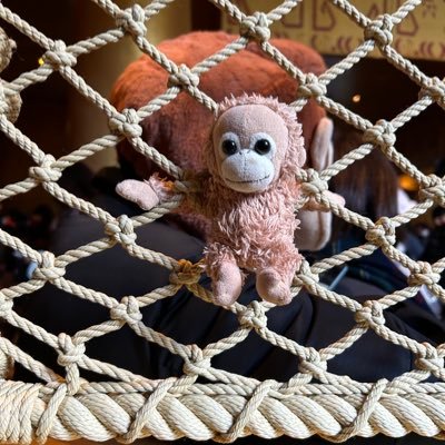 e_nyade_'s profile picture. BJJ🟪