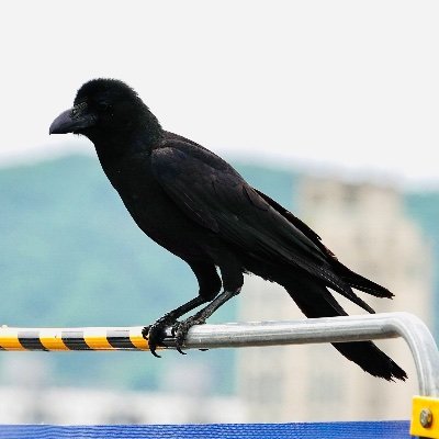 Nter_1234 Profile Picture