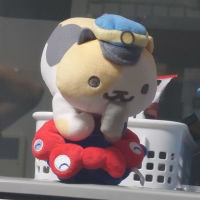 抹茶さんのプロフィール画像