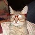 hehe (@femmebells) Twitter profile photo hehe (@femmebells) Twitter profile photo