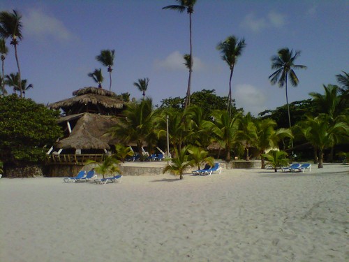 mmmmmm210210's profile picture. server @ Jack Rose & MGM National Harbor.  community relief and outreach Washington Lamb.