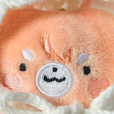 H.오토레이니