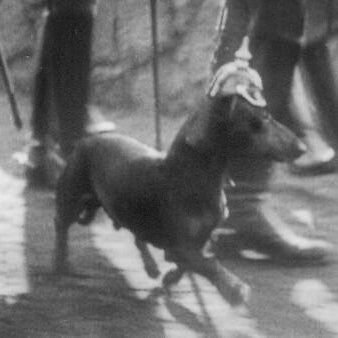 freudejp's profile picture. 卒論執筆中