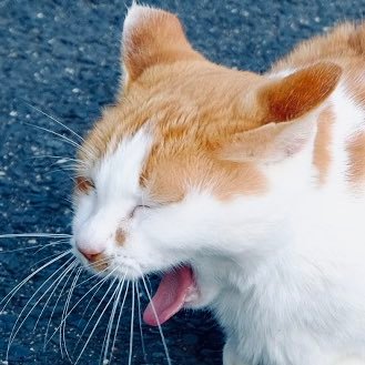 とんきさんのプロフィール画像